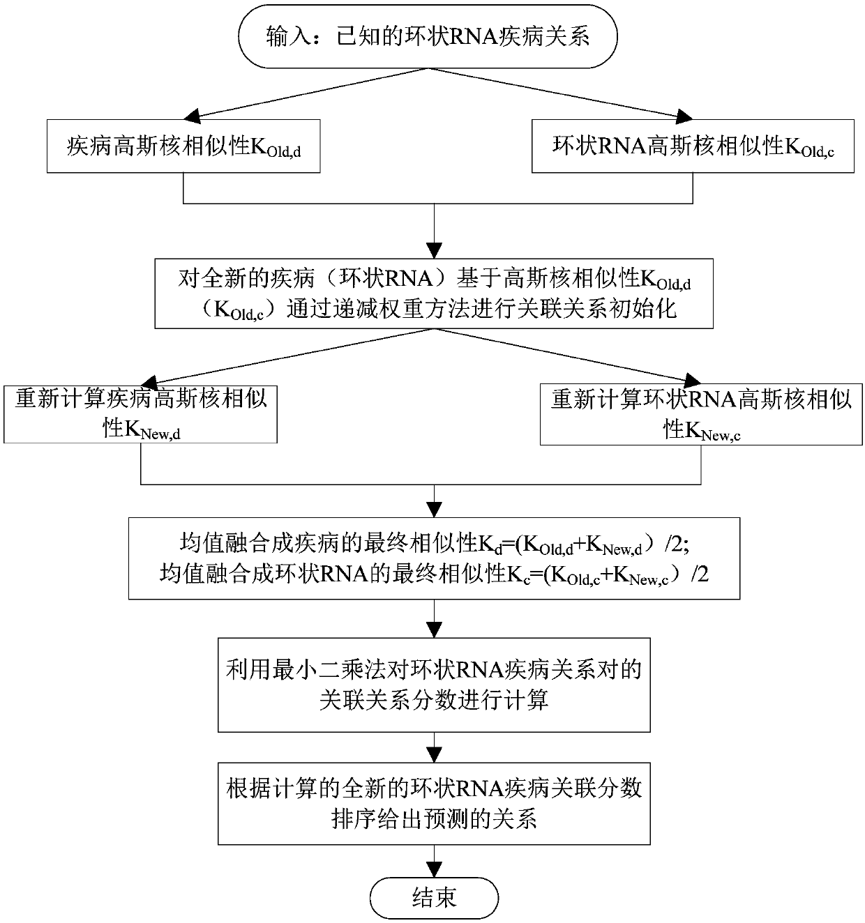 Incidence relation prediction method of circular RNA