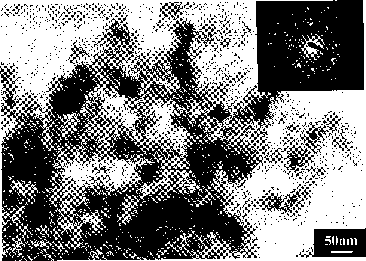 Method for preparing metallic Mg nano granular material