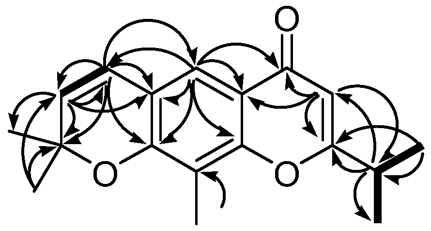 A kind of chromone derivative extracted from Cassia brevifolia and its preparation method and application