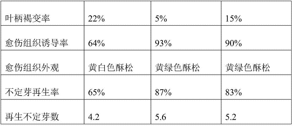 Kiwi fruit tissue culture method and application thereof