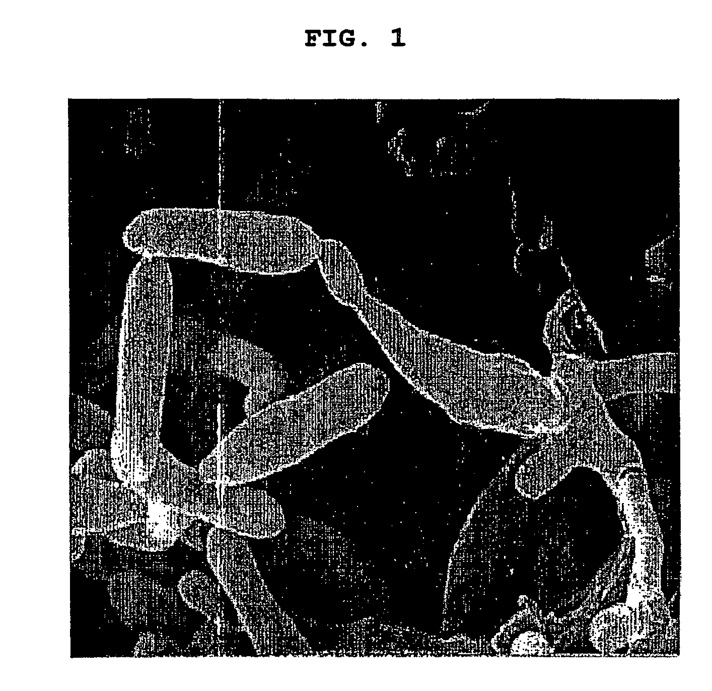 <i>Metarhizium </i>genus microorganism and the method for controlling the soil pests using the same