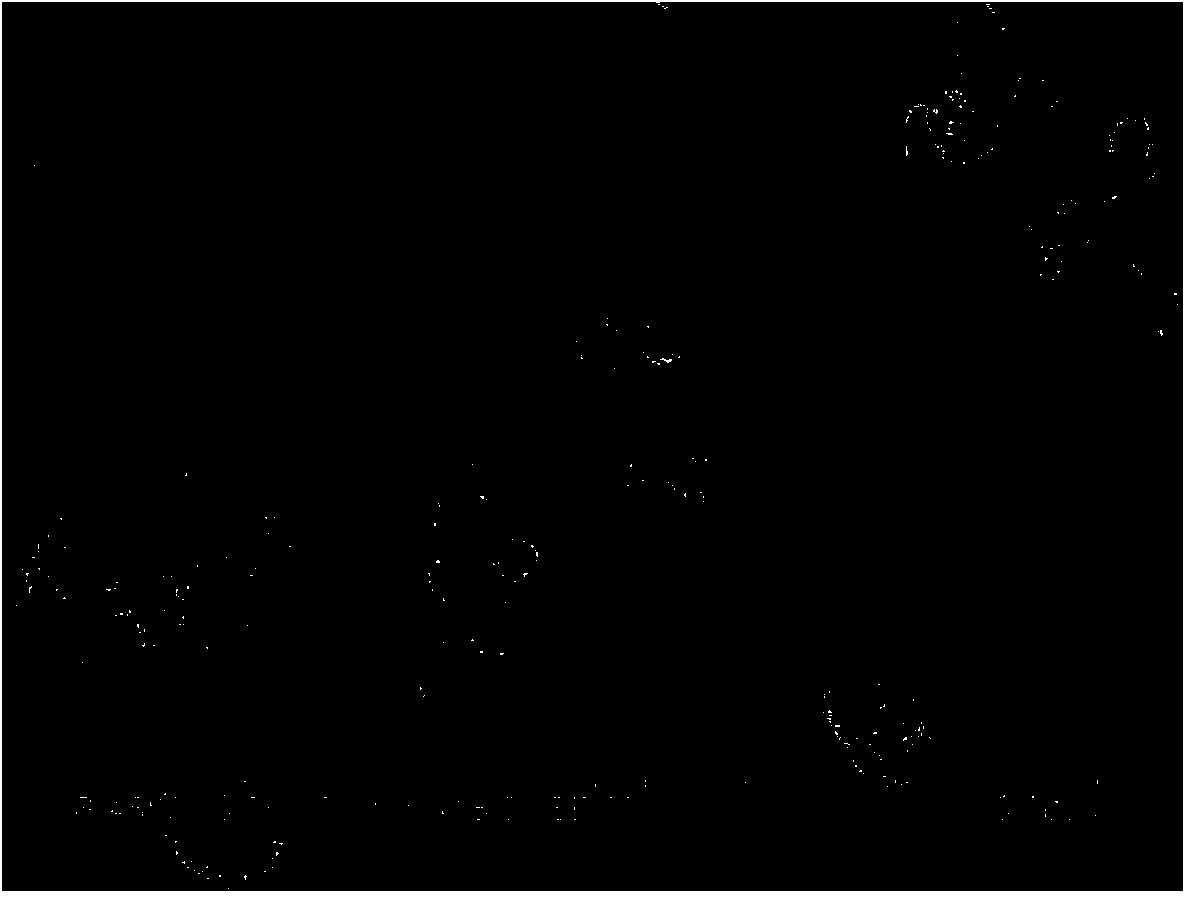 GeOx material, preparation method thereof and application of GeOx material in lithium ion battery