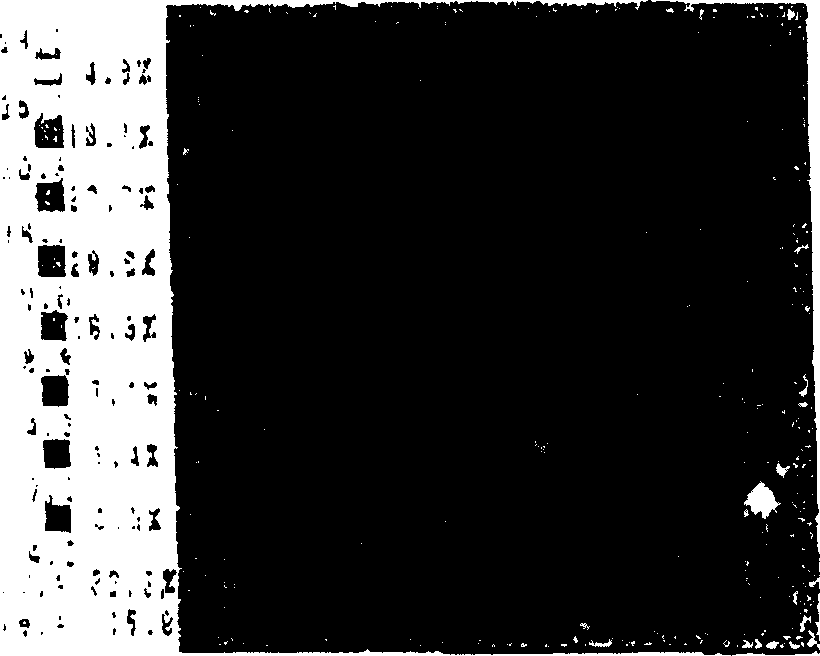 Dielectric ceramic composite and electronic device