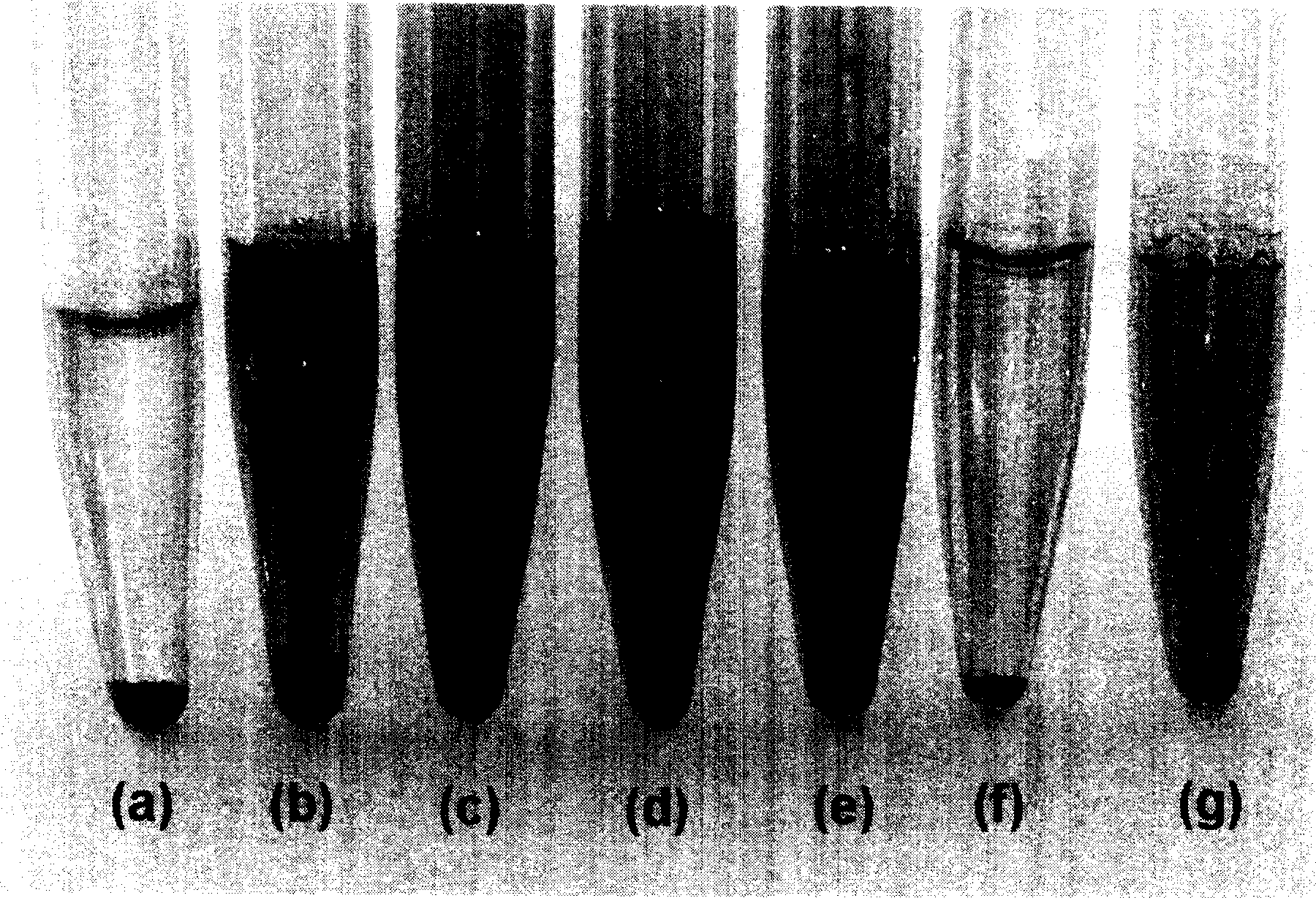 Preparation method for water soluble carbon nanotube