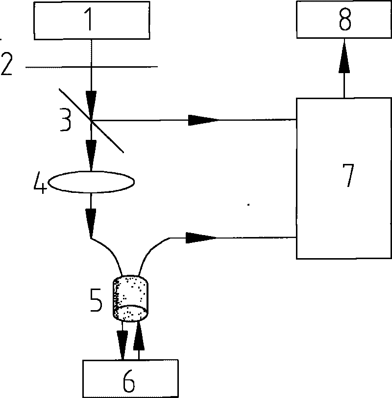 Human body oxidative stress non-invasive fluorescence detection device and method