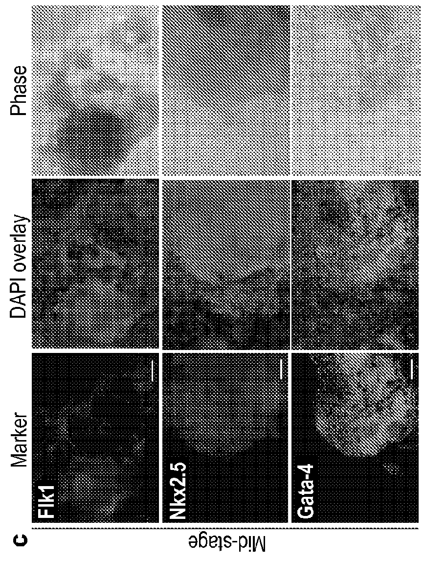 Reprogramming of cells to a new fate