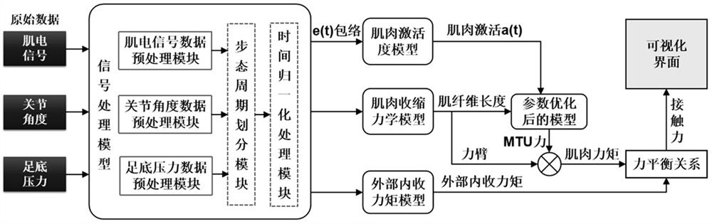 Method and system for estimating contact force of knee joint musculoskeletal model driven by electromyographic signals