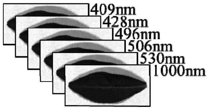 Detection method of SPAD (soil and plant analyzer development) indexes of tea leaves