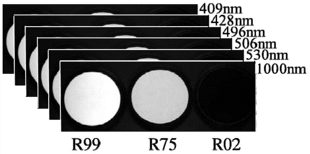 Detection method of SPAD (soil and plant analyzer development) indexes of tea leaves