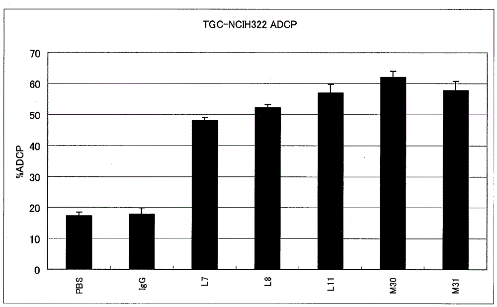 anti-b7-h3 antibody