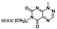 Artificial Antigen and Its Application for Detecting Oryzae oryzae Acidosis