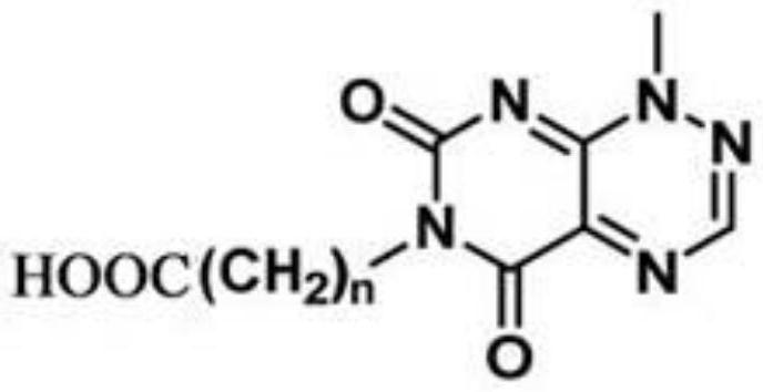 Artificial Antigen and Its Application for Detecting Oryzae oryzae Acidosis