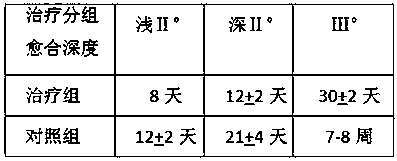 Burn pain-relieving, swelling-diminishing and granulation-promoting liquid cream and preparation method thereof