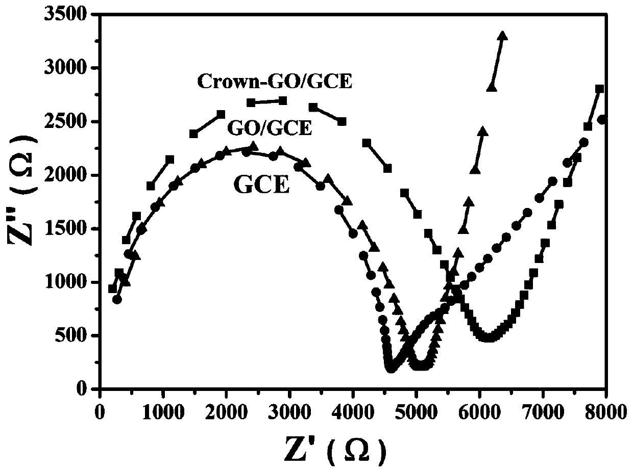 Electrochemical sensor and potassium ion detection method thereof