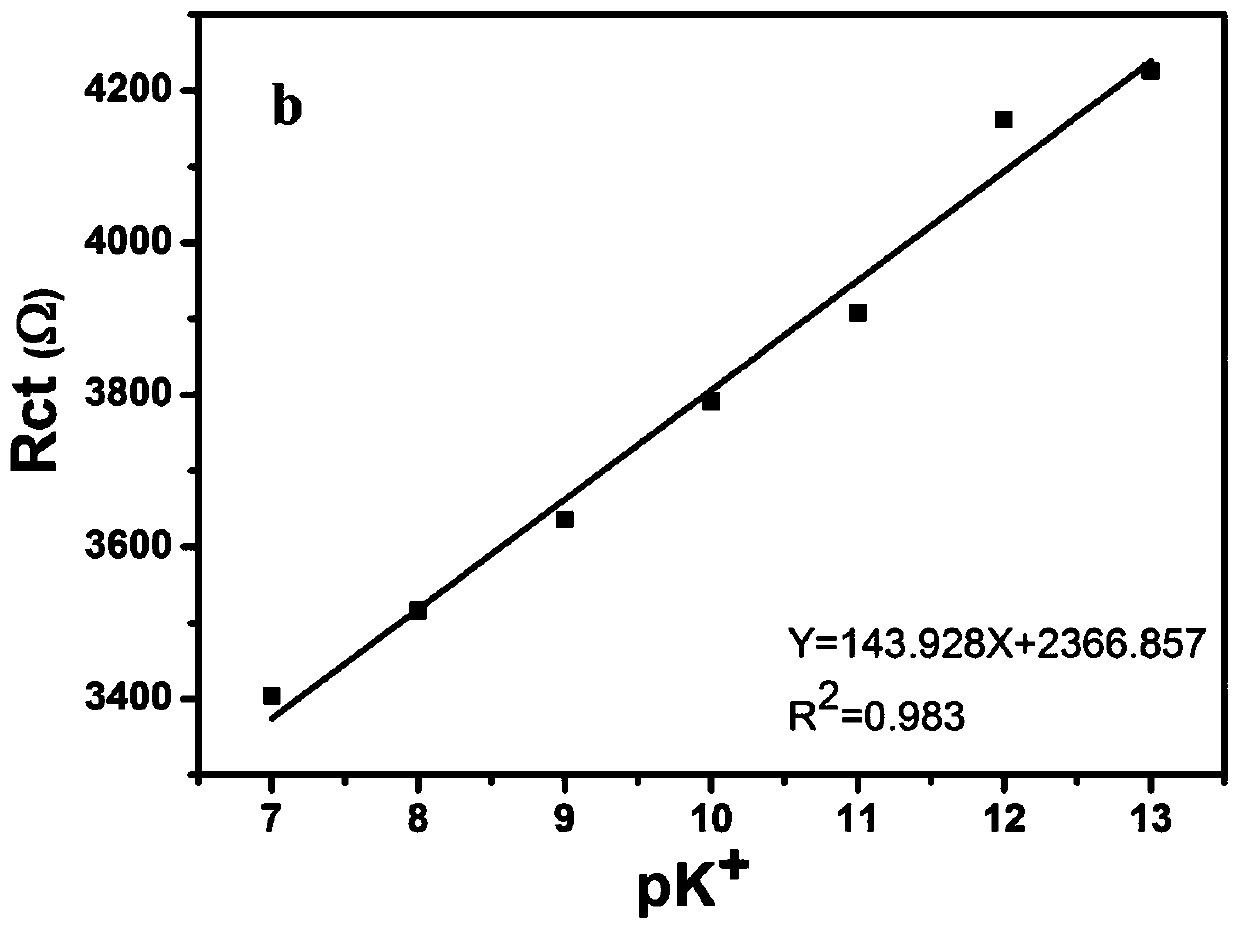 Electrochemical sensor and potassium ion detection method thereof