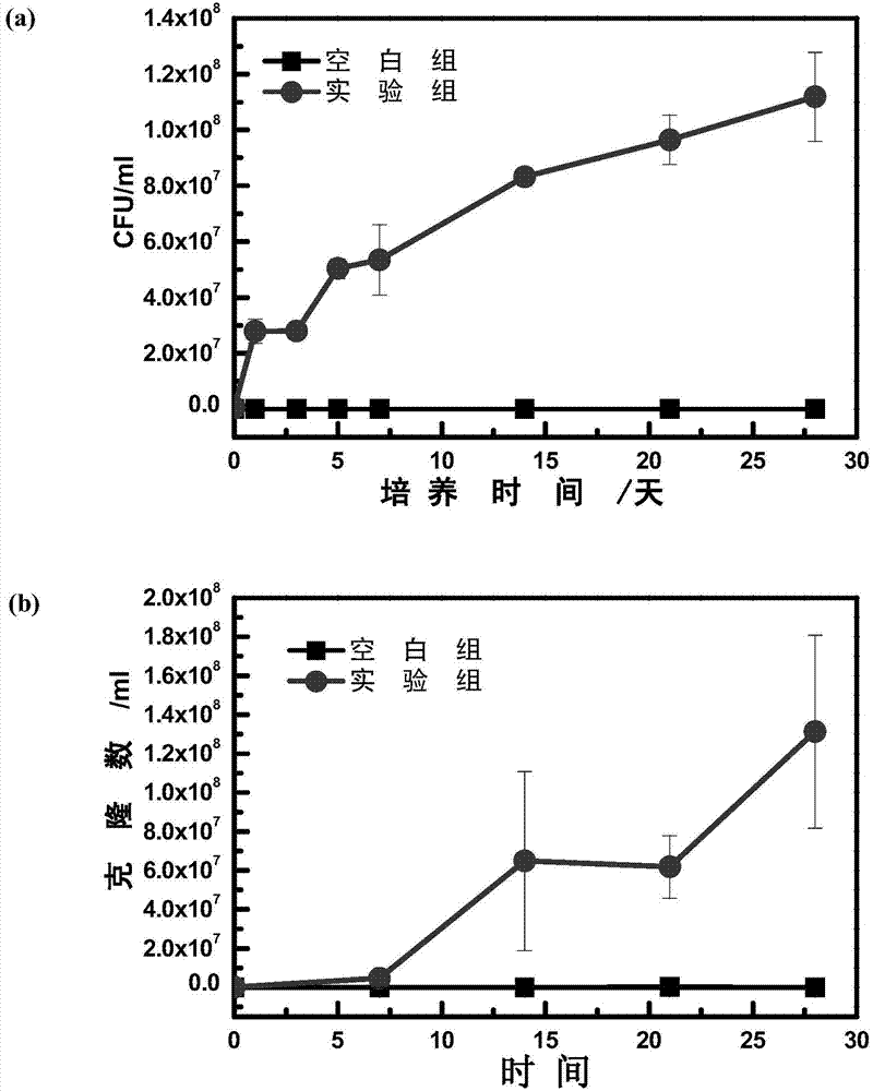 Enterobacter cancerogenus for degrading polyethylene and application of enterobacter cancerogenus