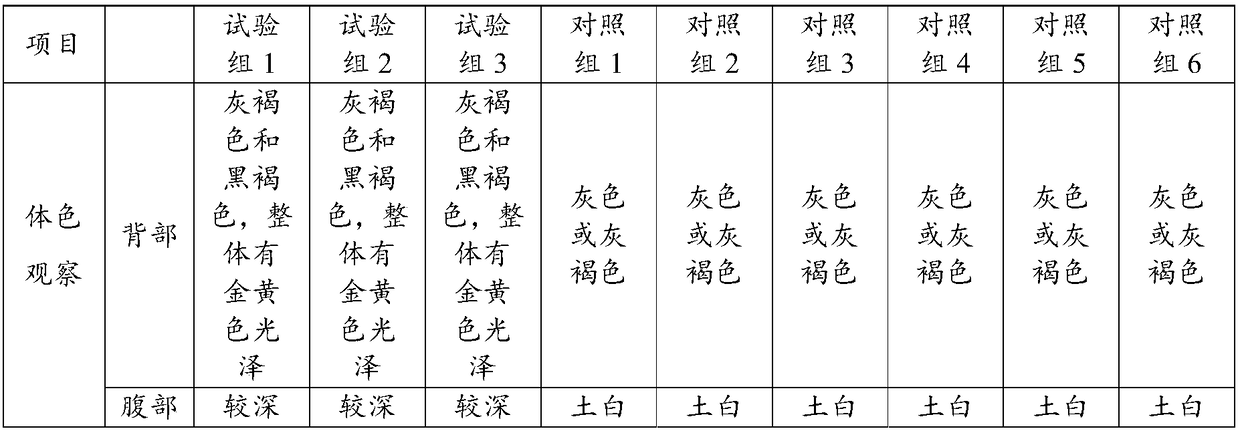 Feed for improving body color and meat quality of yellowhead catfish and preparation method thereof