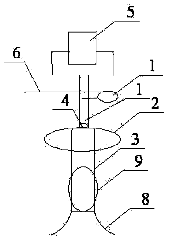 Multifunctional basin stand