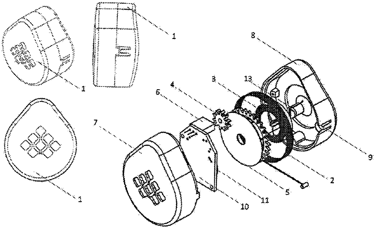 Forest monitoring system and method