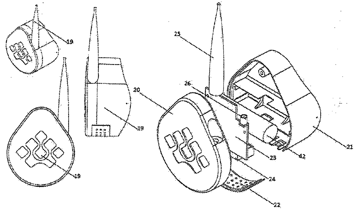 Forest monitoring system and method