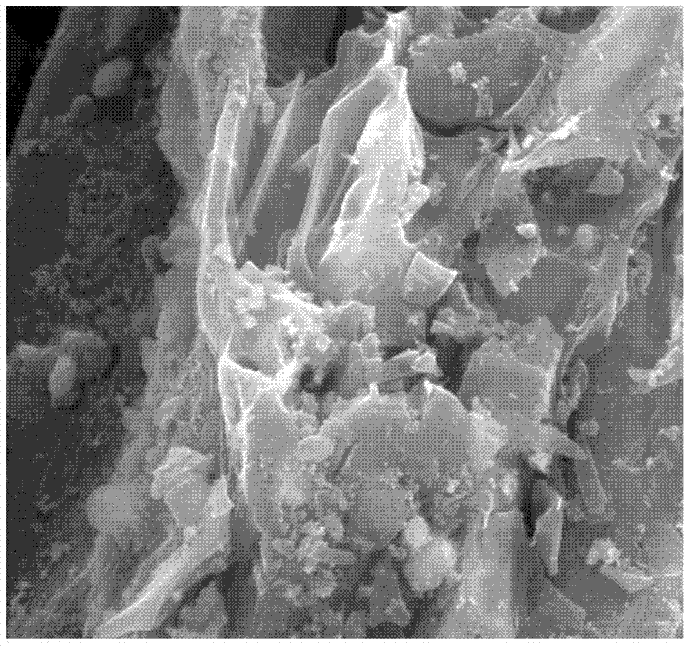 Preparation method of biochar capable of safely adsorbing cadmium in water