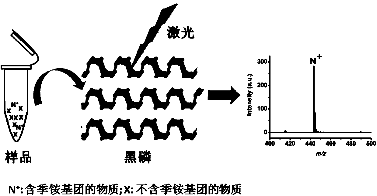 Application of black phosphorus in matrix-assisted laser desorption ionization time-of-flight mass spectrometry