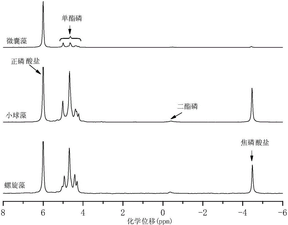 An extraction and composition analysis method for lake alga organophosphorus