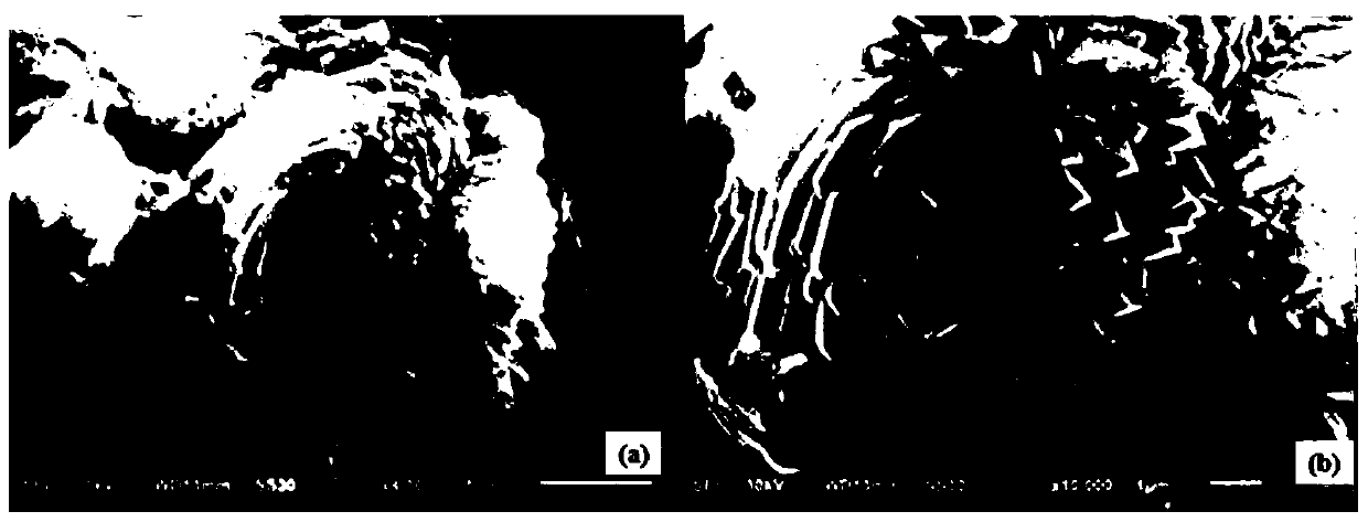 A kind of novel composite material for drug carrier and its preparation method and application