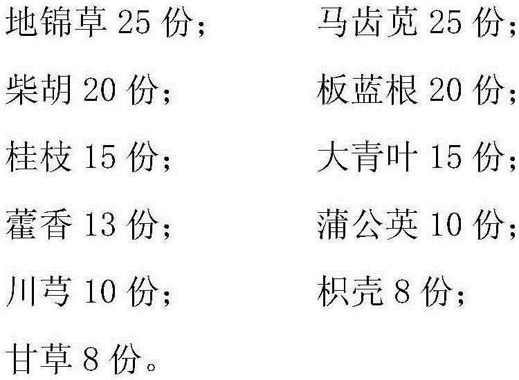 Traditional Chinese medicine composition for preventing and treating duck plague and preparation method thereof