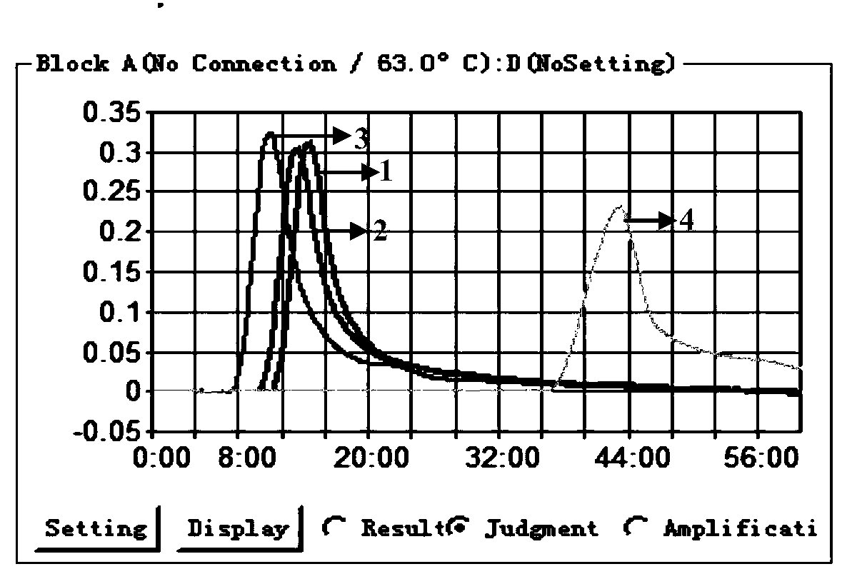 Primer group for detecting nervous necrosis viruses of fishes and application thereof