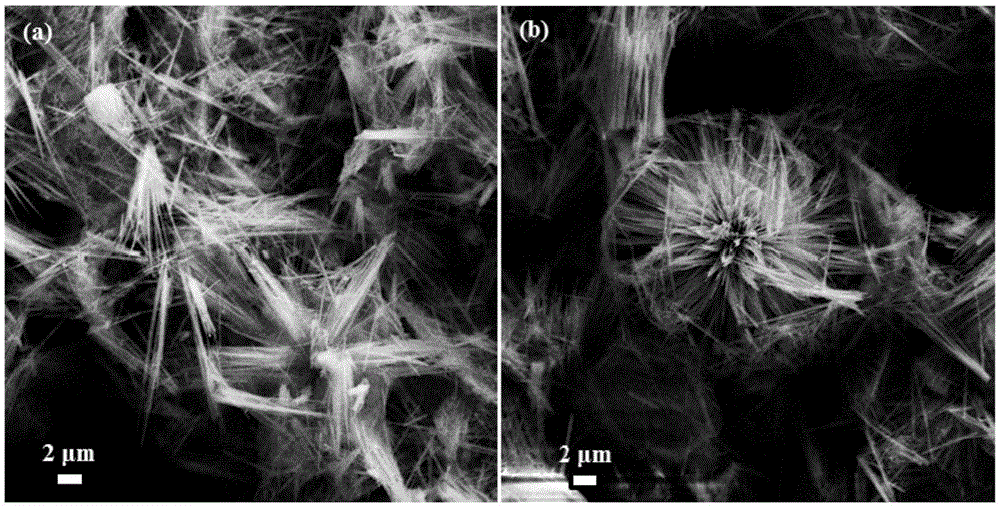 A kind of synthetic method of cobalt oxide/graphene composite absorbing material