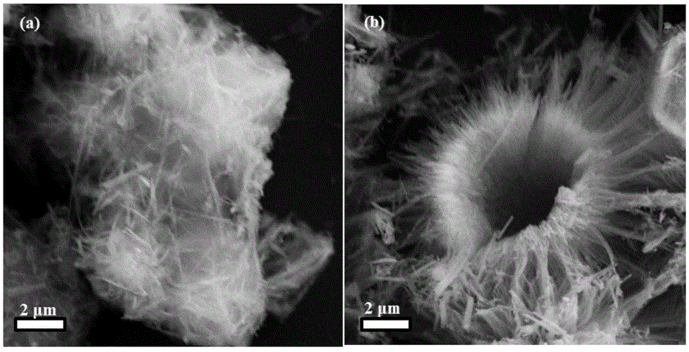 A kind of synthetic method of cobalt oxide/graphene composite absorbing material