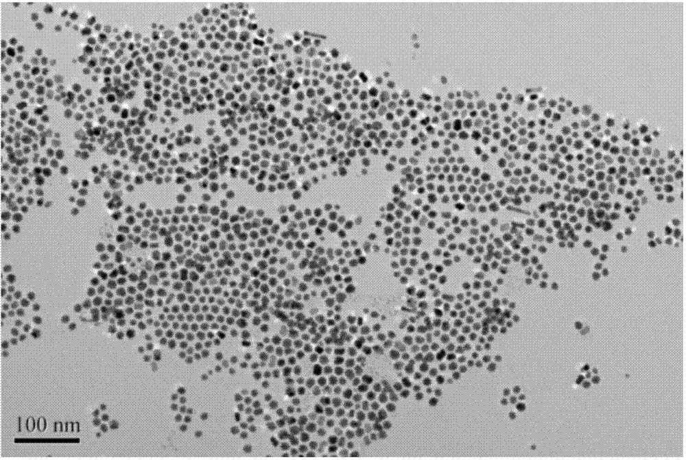 Melamine dual-mode sensor based on Au-Fe3O4 composite nanoparticles and preparation method thereof