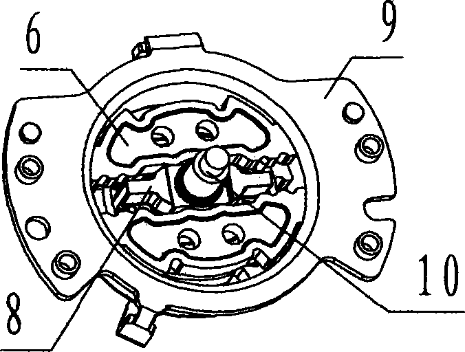 Manual lifting adjustment device with double pawl driving and brake block interchangeability