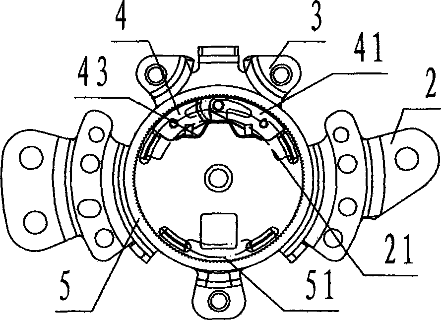 Manual lifting adjustment device with double pawl driving and brake block interchangeability