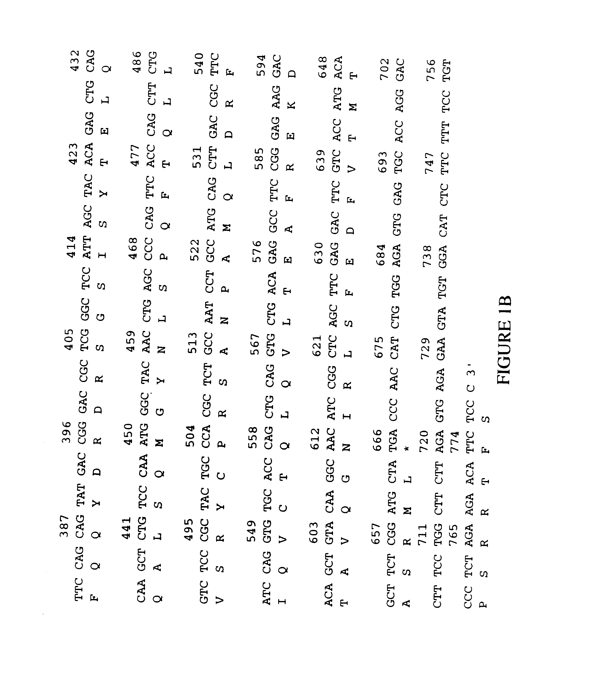 Human apoptosis-related calcium-binding protein