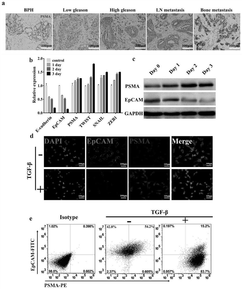 Functionalized microfluidic chip based on epcam/psma double antibody and its preparation method and application