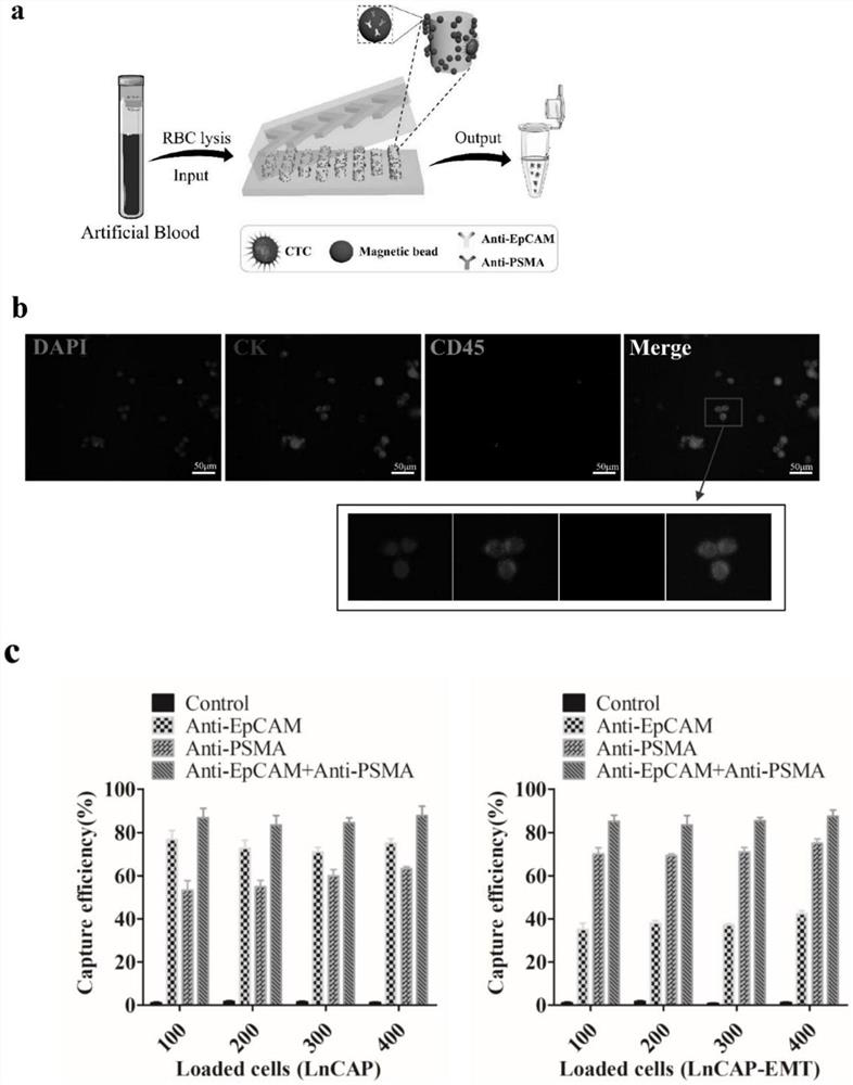 Functionalized microfluidic chip based on epcam/psma double antibody and its preparation method and application