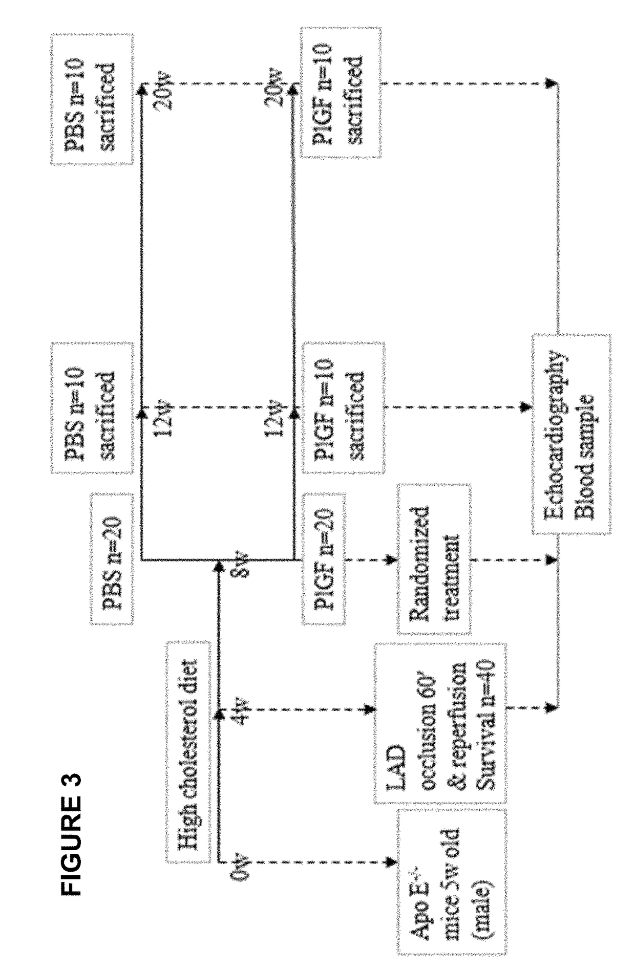 Heart failure treatment