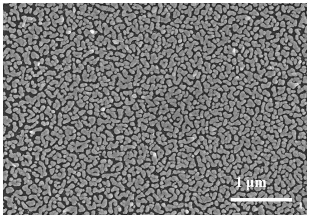 A surface-enhanced Raman scattering substrate material for gas detection and its preparation method