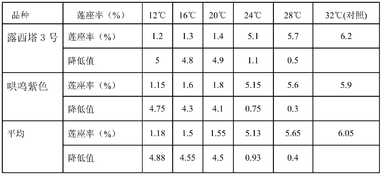 Eustoma grandiflorum seedling raising method capable of eliminating rosette characters through regulation and control of temperature and light