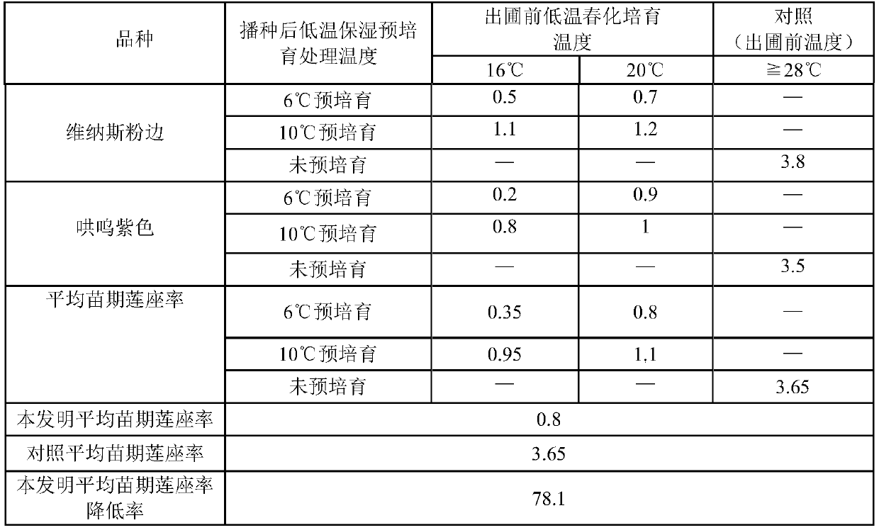 Eustoma grandiflorum seedling raising method capable of eliminating rosette characters through regulation and control of temperature and light