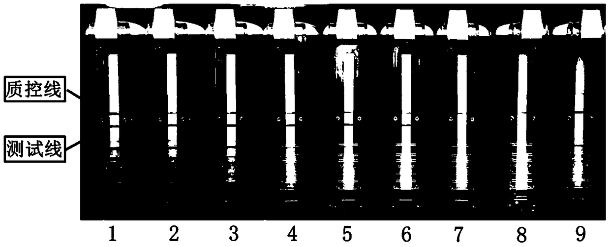 A constant temperature amplification kit for detecting fever with thrombocytopenia syndrome virus and its application