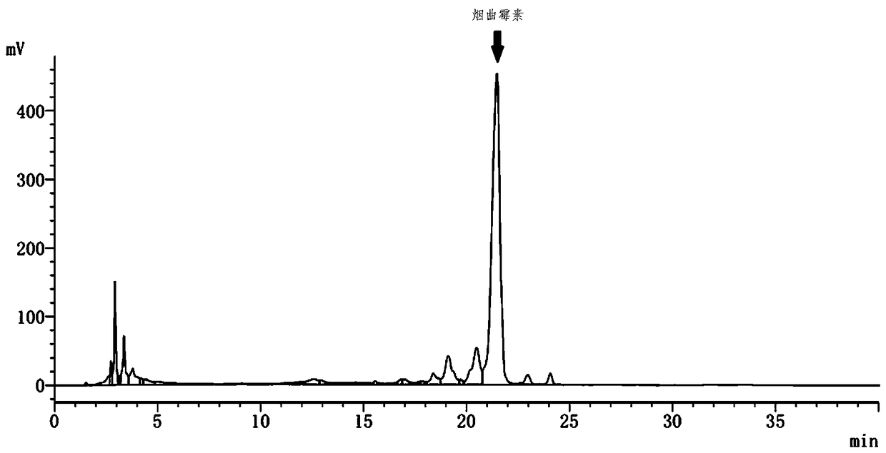 Medium and culture method for fermenting Aspergillus fumigatus to produce fumagillin