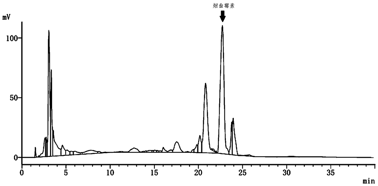 Medium and culture method for fermenting Aspergillus fumigatus to produce fumagillin