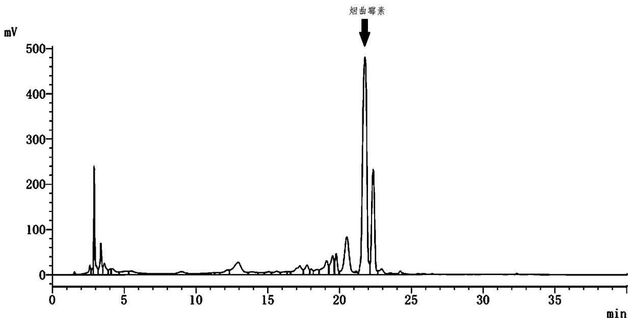 Medium and culture method for fermenting Aspergillus fumigatus to produce fumagillin