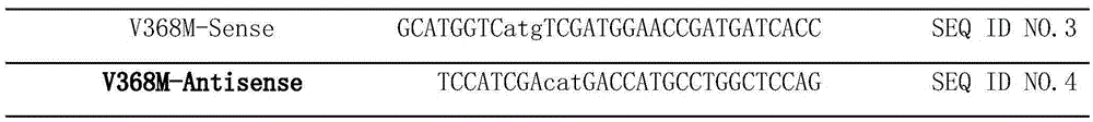 Creatinase mutant with increased thermal stability