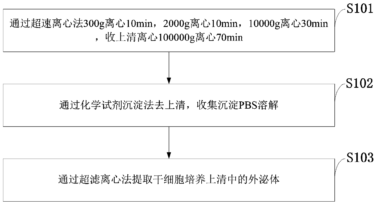 Novel biological preparation for resisting renal fibrosis, of human umbilical cord MSC exosome and preparation method