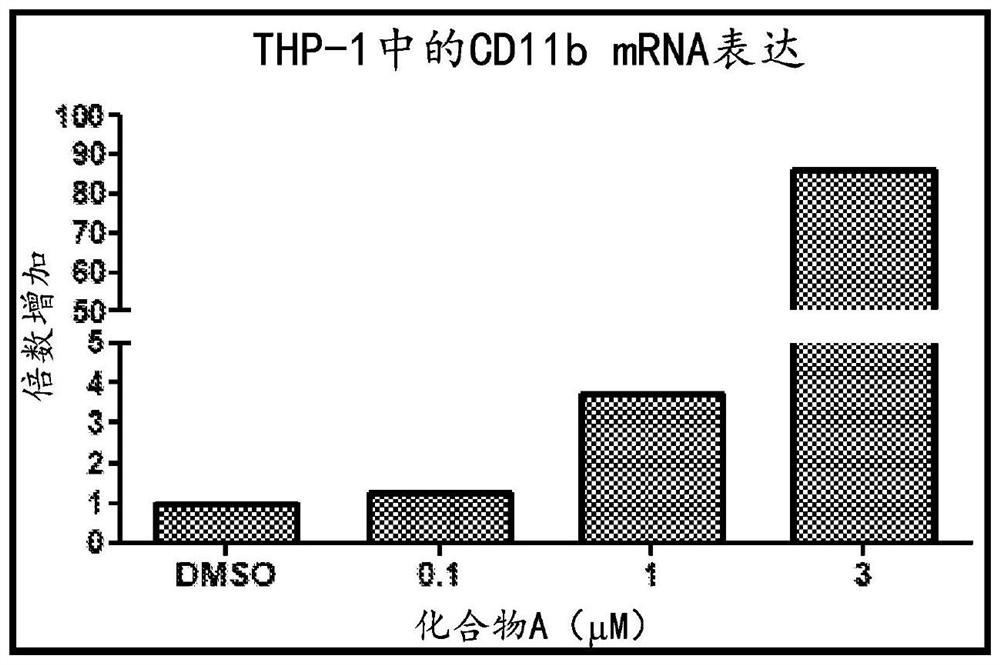 Compositions comprising DHODH inhibitors for treatment of acute myelogenous leukemia