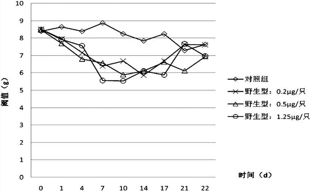 Low-pain nerve growth factor mutant